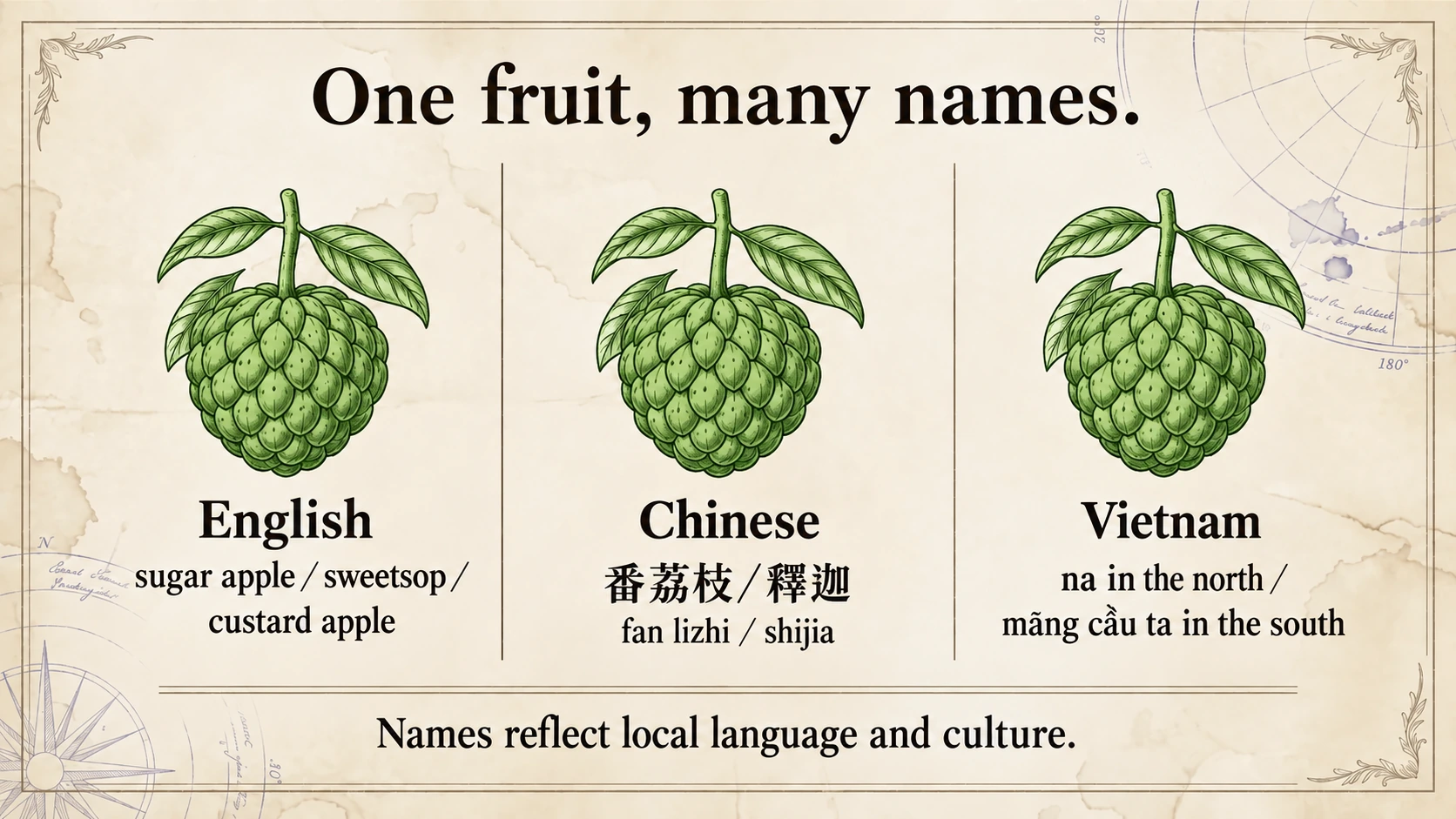English, Chinese and Vietnamese names reflect different local languages and cultural meanings.