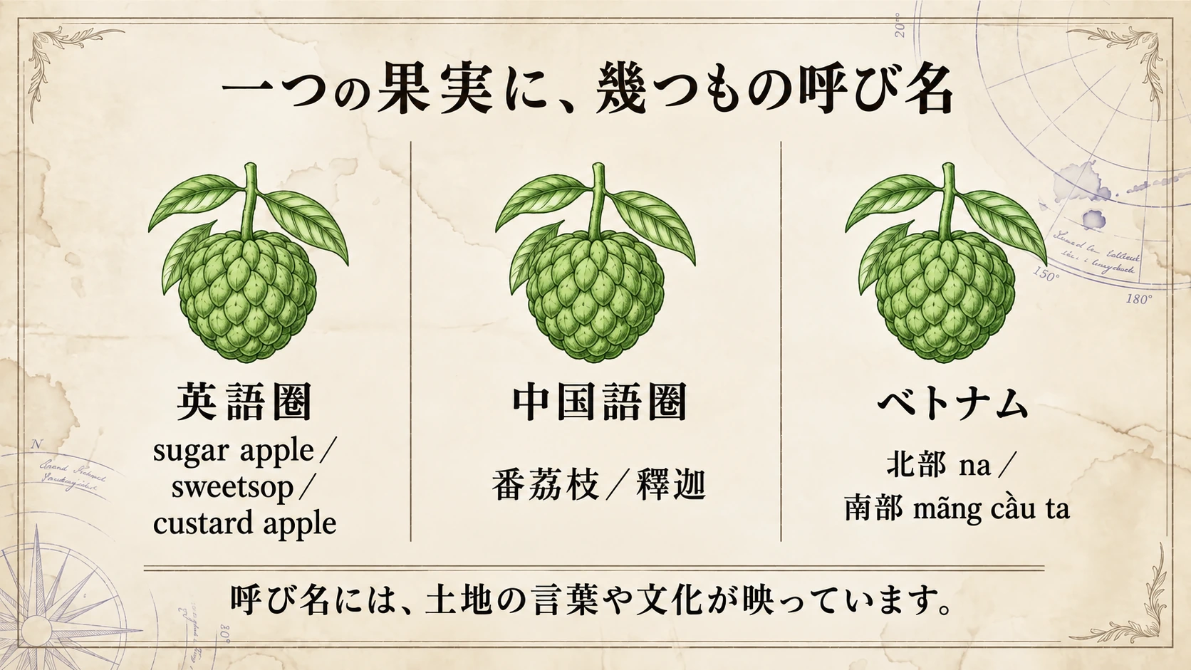 同じ果実にも、土地の言語や文化に応じた複数の呼び名があります。