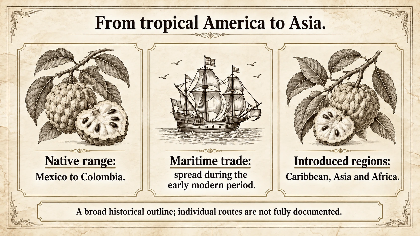 A broad outline of the spread from tropical America, rather than a confirmed sequence of ports.