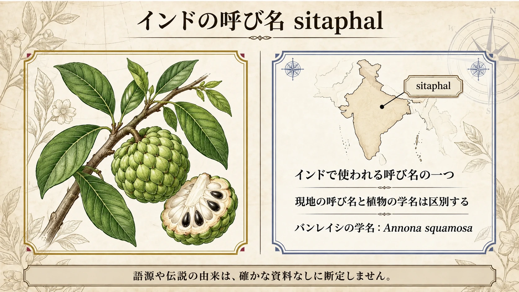 sitaphal はインドで使われる呼び名の一つです。現地名と植物の学名を区別します。