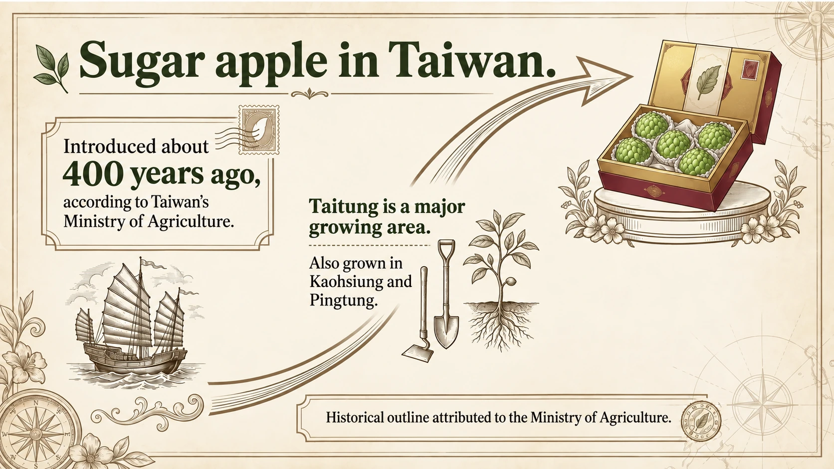Taiwan’s Ministry of Agriculture describes introduction during the Dutch period; Taitung is a major growing area.