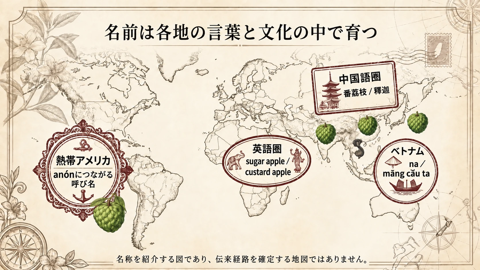 名称は一本の道ではなく、各地の言語と文化の中で並行して育ちました。