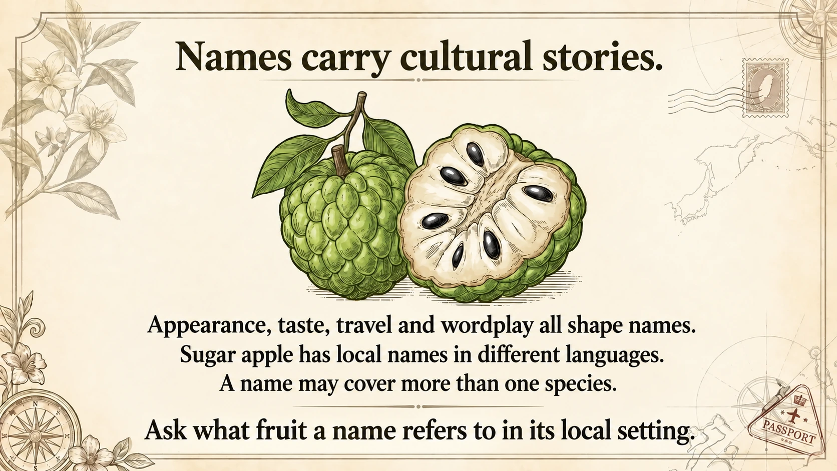Appearance, taste, travel and wordplay all contribute to fruit names.