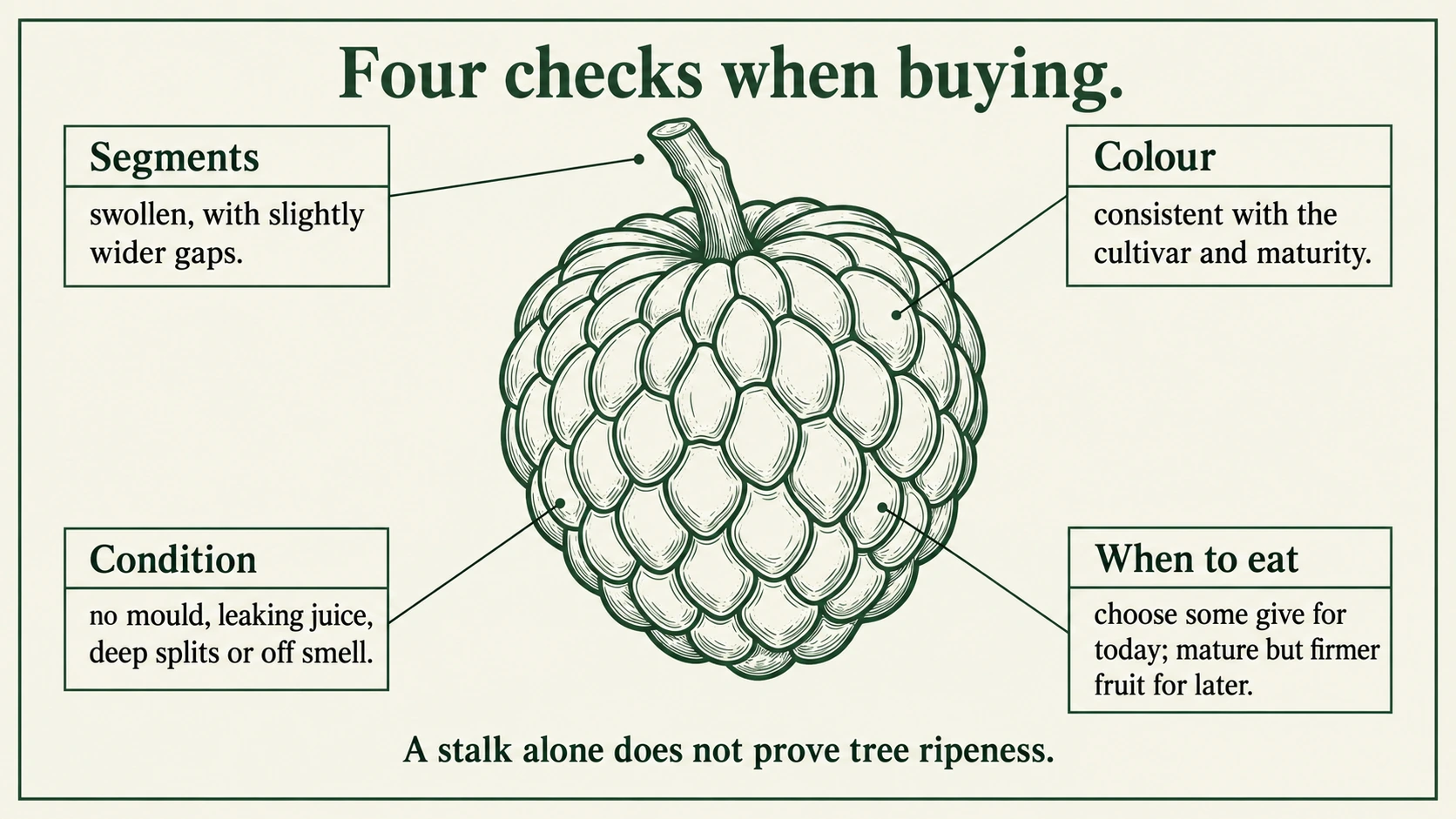 Check segments, cultivar colour, condition and the day you plan to eat the fruit.