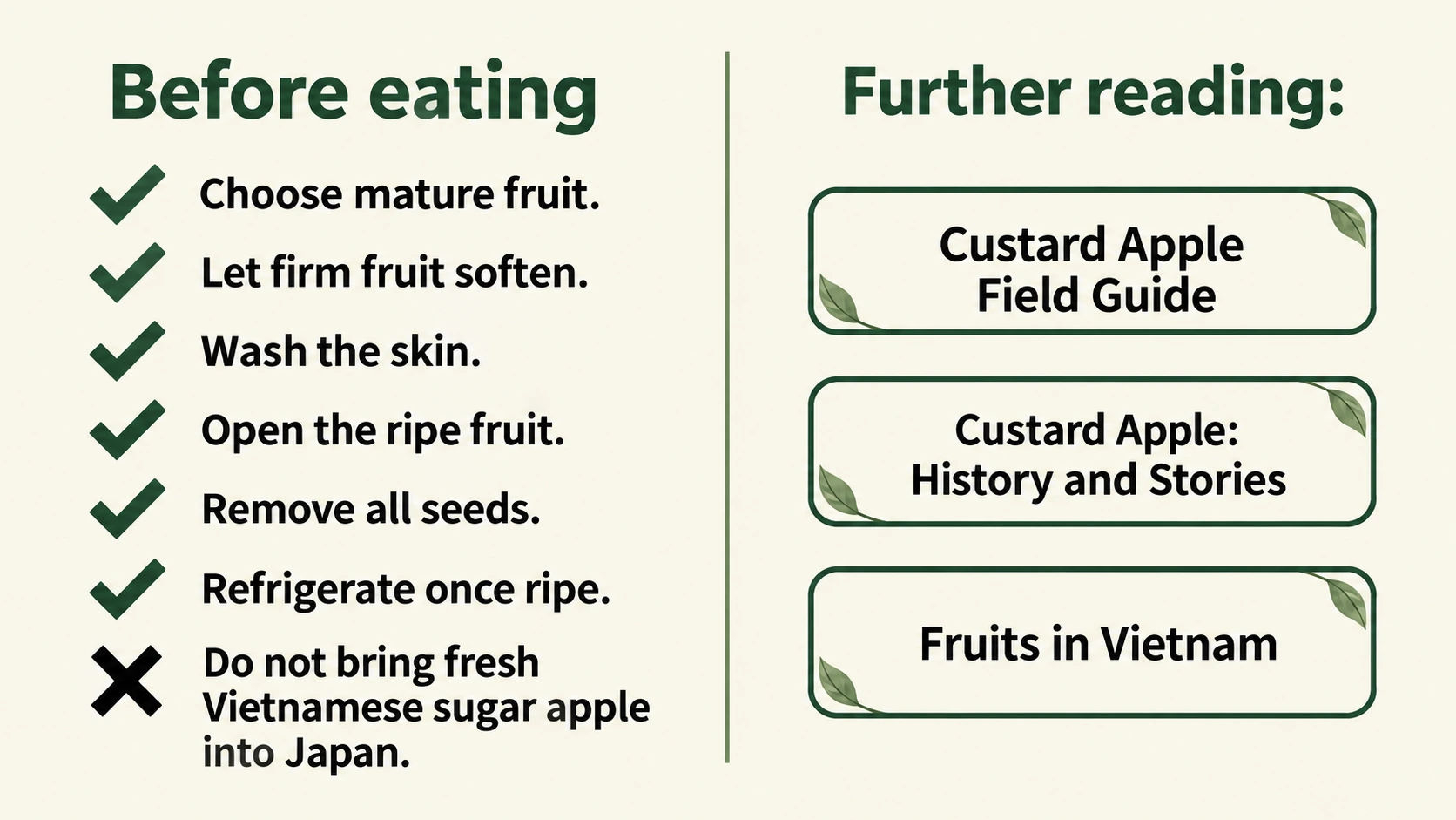 A checklist from choosing mature fruit to seed removal and storage.