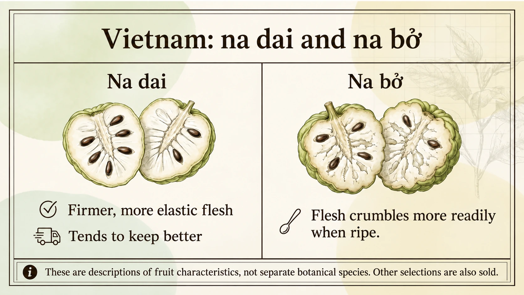 Na dai and na bở describe differences in flesh texture rather than separate species.
