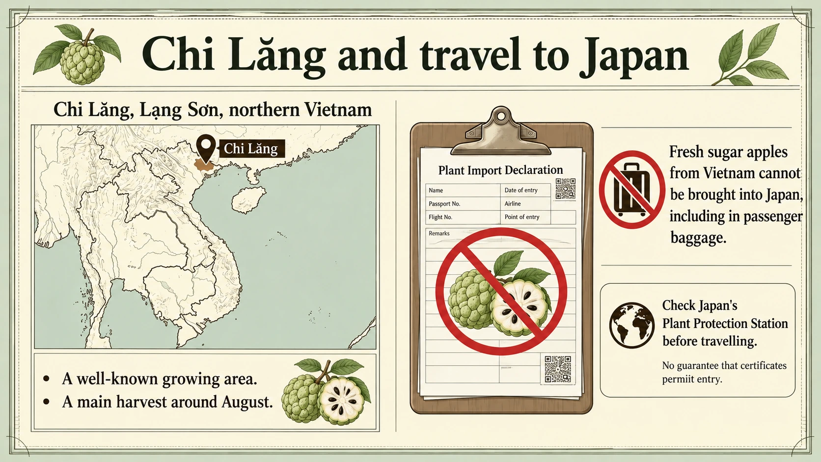 Chi Lăng is a Vietnamese growing area; fresh Vietnamese sugar apples cannot be carried into Japan.