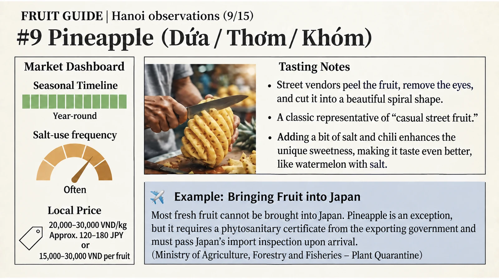 Pineapple at a glance — English version of the Japanese infographic