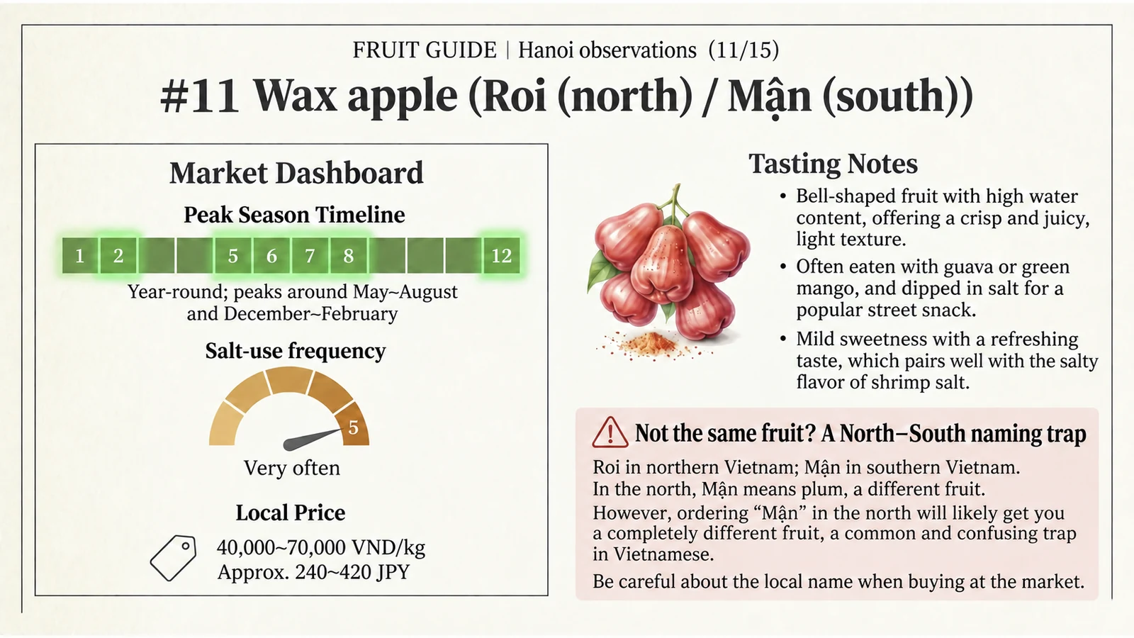 Wax apple at a glance — English version of the Japanese infographic