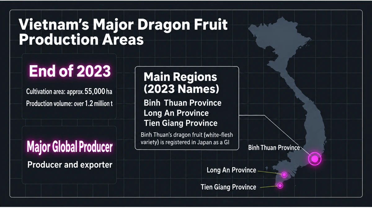 Vietnam dragon fruit production at the end of 2023 and the three main regions under their former province names