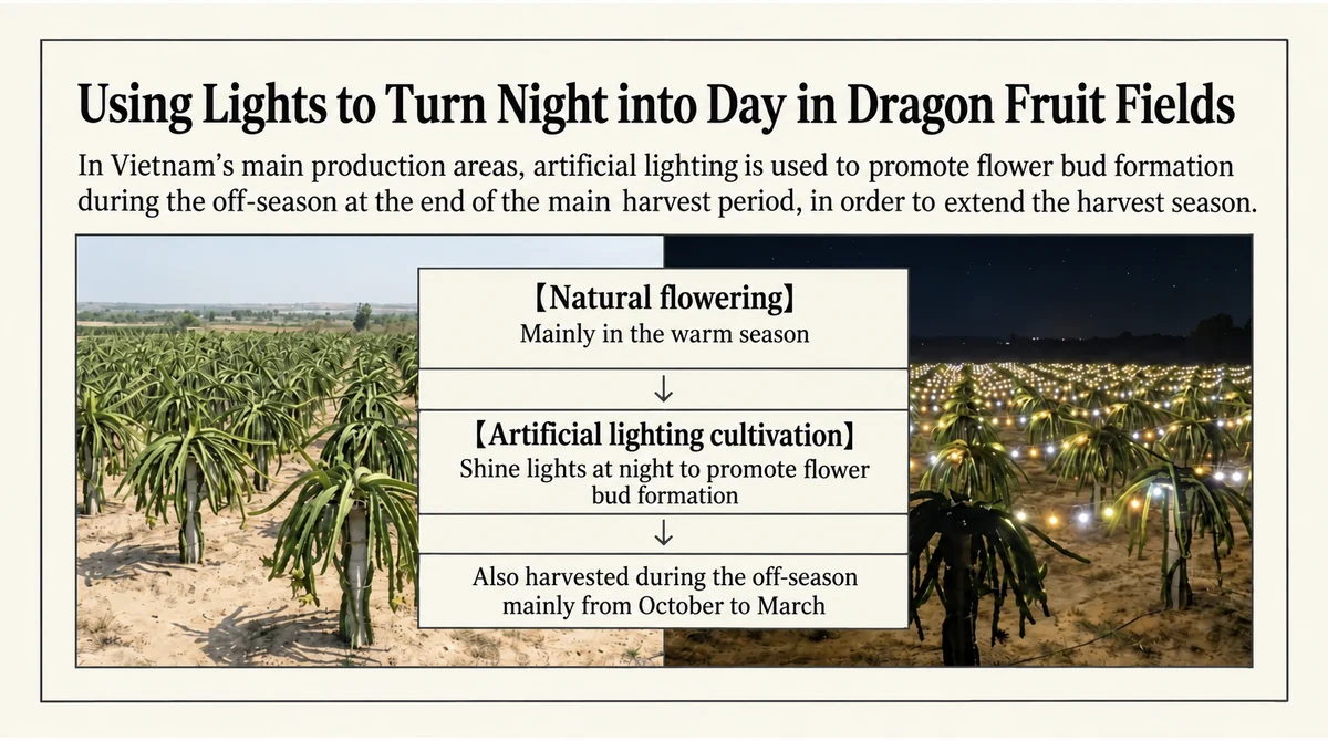 Daytime and illuminated nighttime fields showing off-season lighting