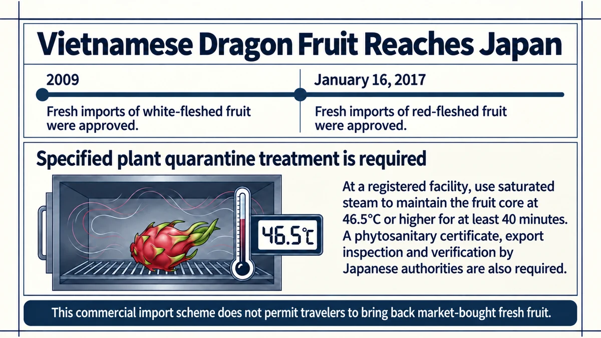 Fresh Vietnamese dragon fruit reaches Japan under specified treatment, certification and inspection requirements