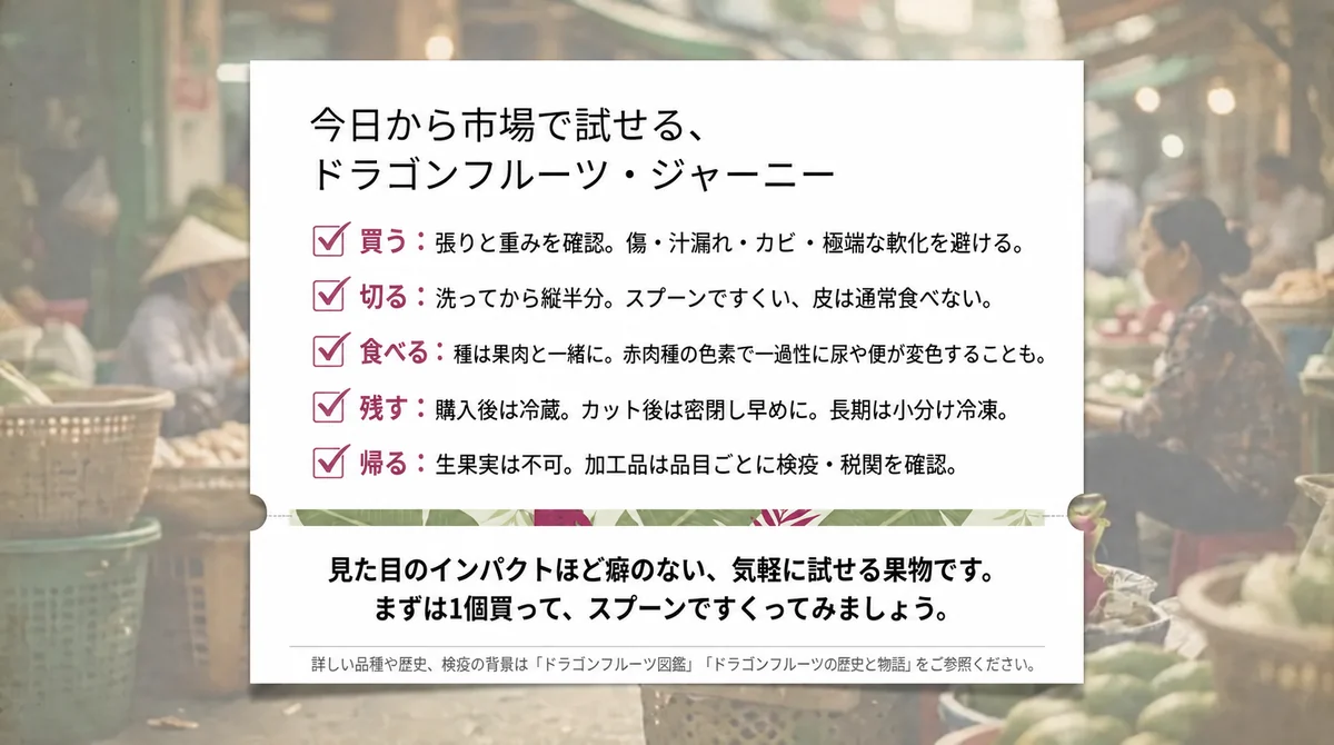 ドラゴンフルーツの買い方、切り方、食べ方、保存、持ち帰り条件のまとめ