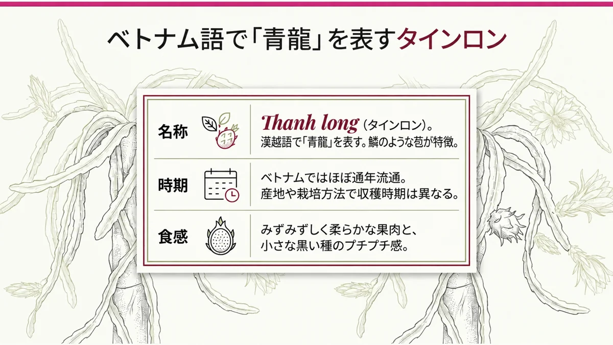 Thanh longの名前、ベトナムでの流通時期、果肉と種の食感