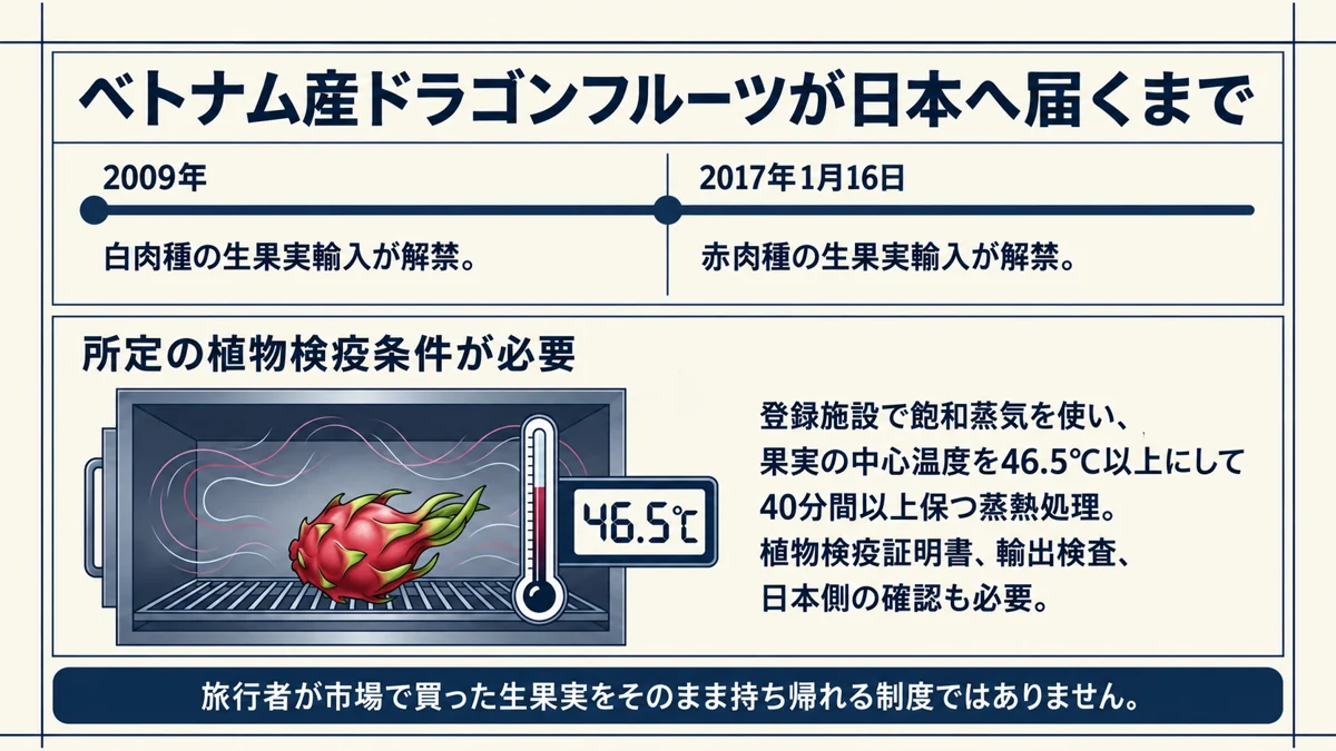 白肉種2009年・赤肉種2017年の輸入解禁と植物検疫条件