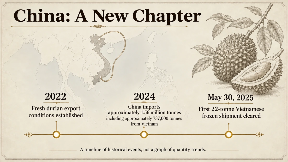 Fresh-export conditions were established in 2022; the first frozen shipment cleared Chinese customs in 2025.