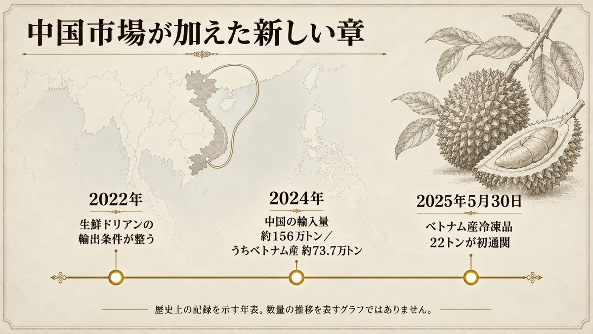 2022年から2025年までのベトナム産ドリアンの対中輸出拡大を示した年表