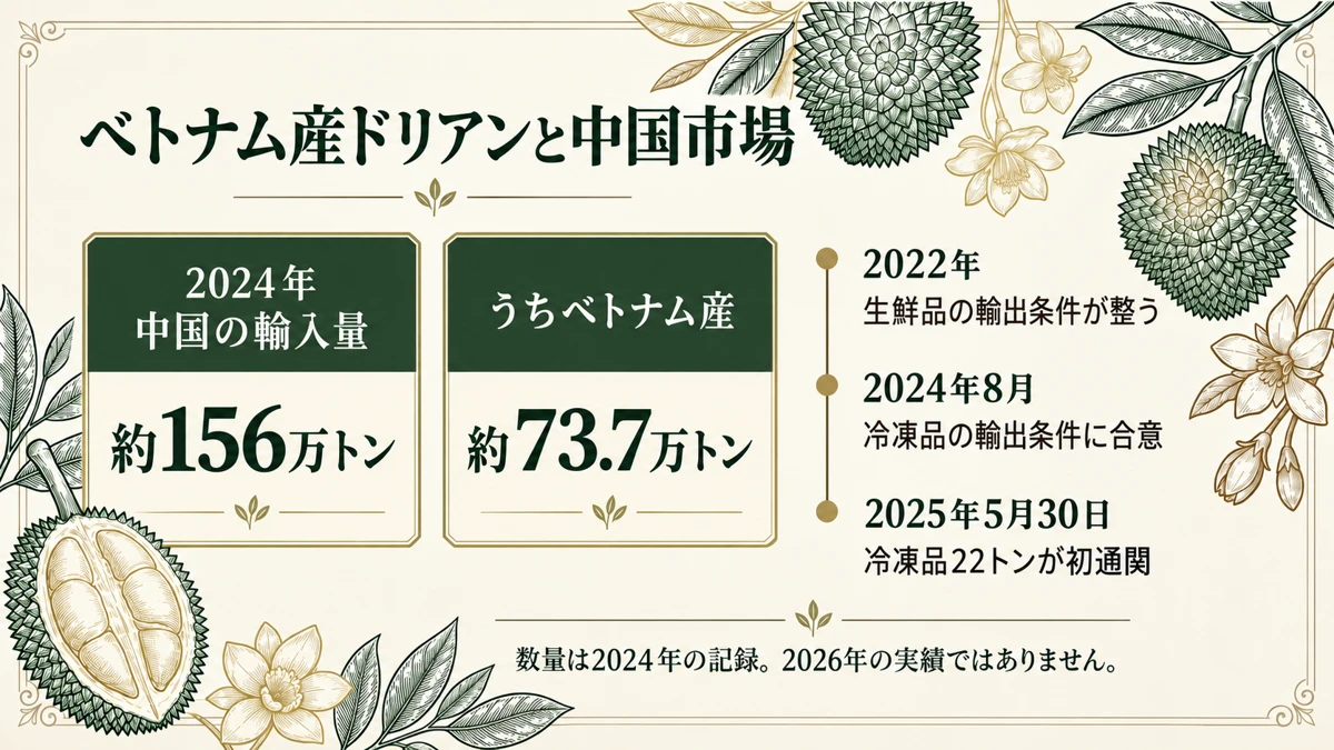 2022年以降のベトナム産ドリアンの対中輸出拡大を年表と数量で示した図