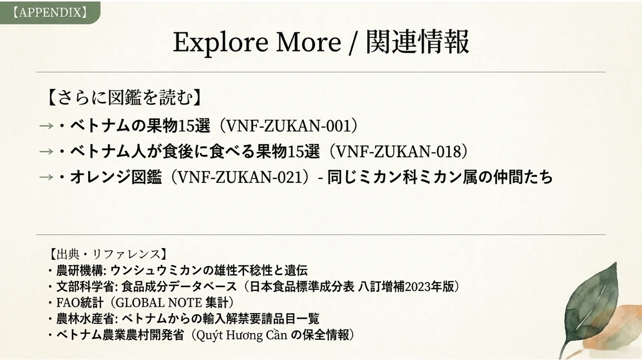 「さらに図鑑を読む」として、ベトナムの果物15選(VNF-ZUKAN-001)・ベトナム人が食後に食べる果物15選(VNF-ZUKAN-018)・オレンジ図鑑(VNF-ZUKAN-021、同じミカン科ミカン属の仲間として)への案内と、出典・リファレンスの一覧を示した「Explore More/関連情報」の図