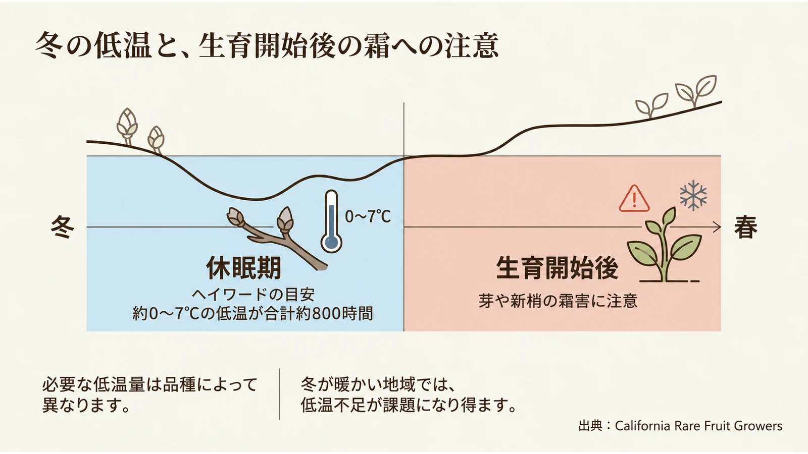 冬の休眠期と生育開始後の注意点を示す図。約0〜7℃・合計約800時間はヘイワードの目安