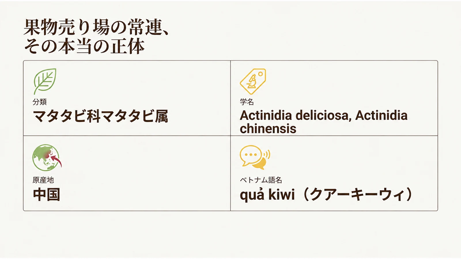 キウイの分類・学名・原産地・ベトナム語名をまとめた図