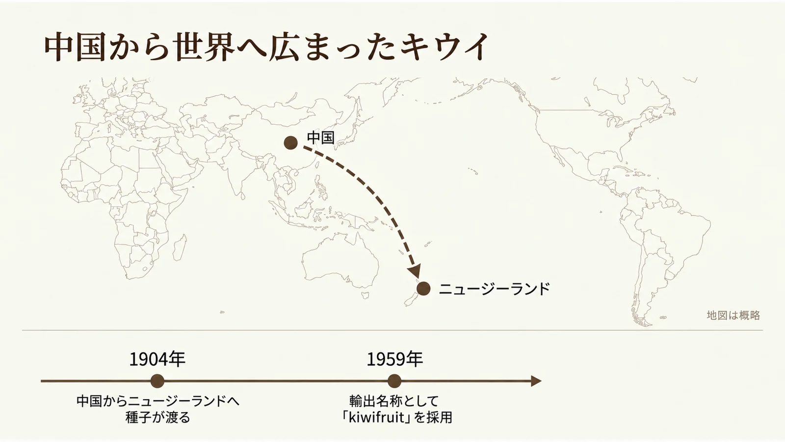 中国からニュージーランドへの伝来(1904年)と、輸出名称kiwifruit採用(1959年)を示す地図と年表