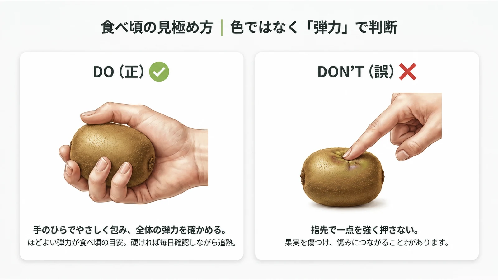 食べ頃の見極め方。DO(正)は手のひら全体で優しく包み弾力を確かめる、DON'T(誤)は指先で一点を強く押す