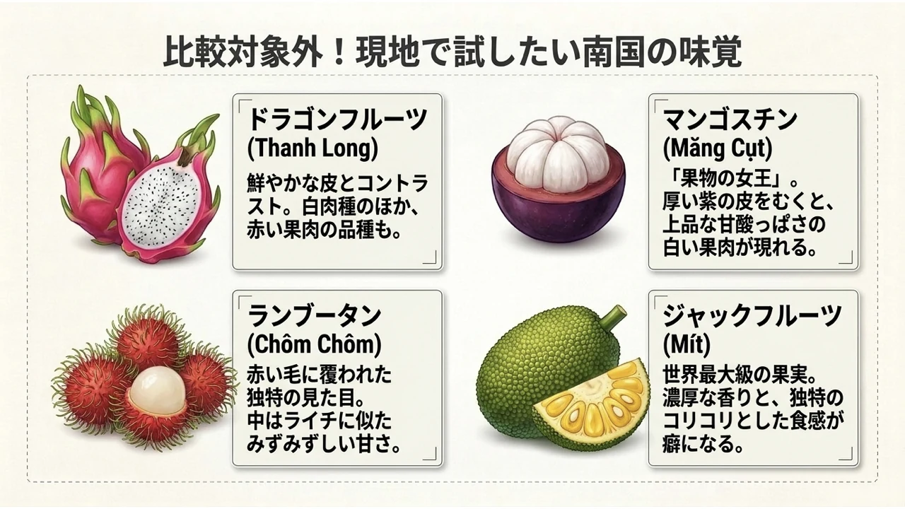 ドラゴンフルーツ・マンゴスチン・ランブータン・ジャックフルーツの図解