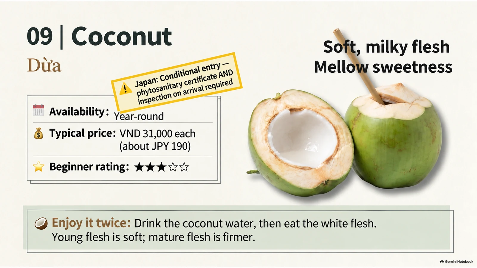Illustration of Vietnamese coconut prices, beginner rating, and ways to drink and eat it
