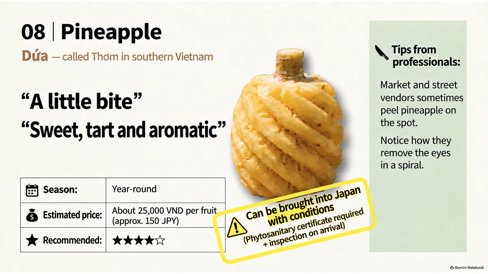 Illustration of Vietnamese pineapple seasons, prices, beginner rating, and flavor
