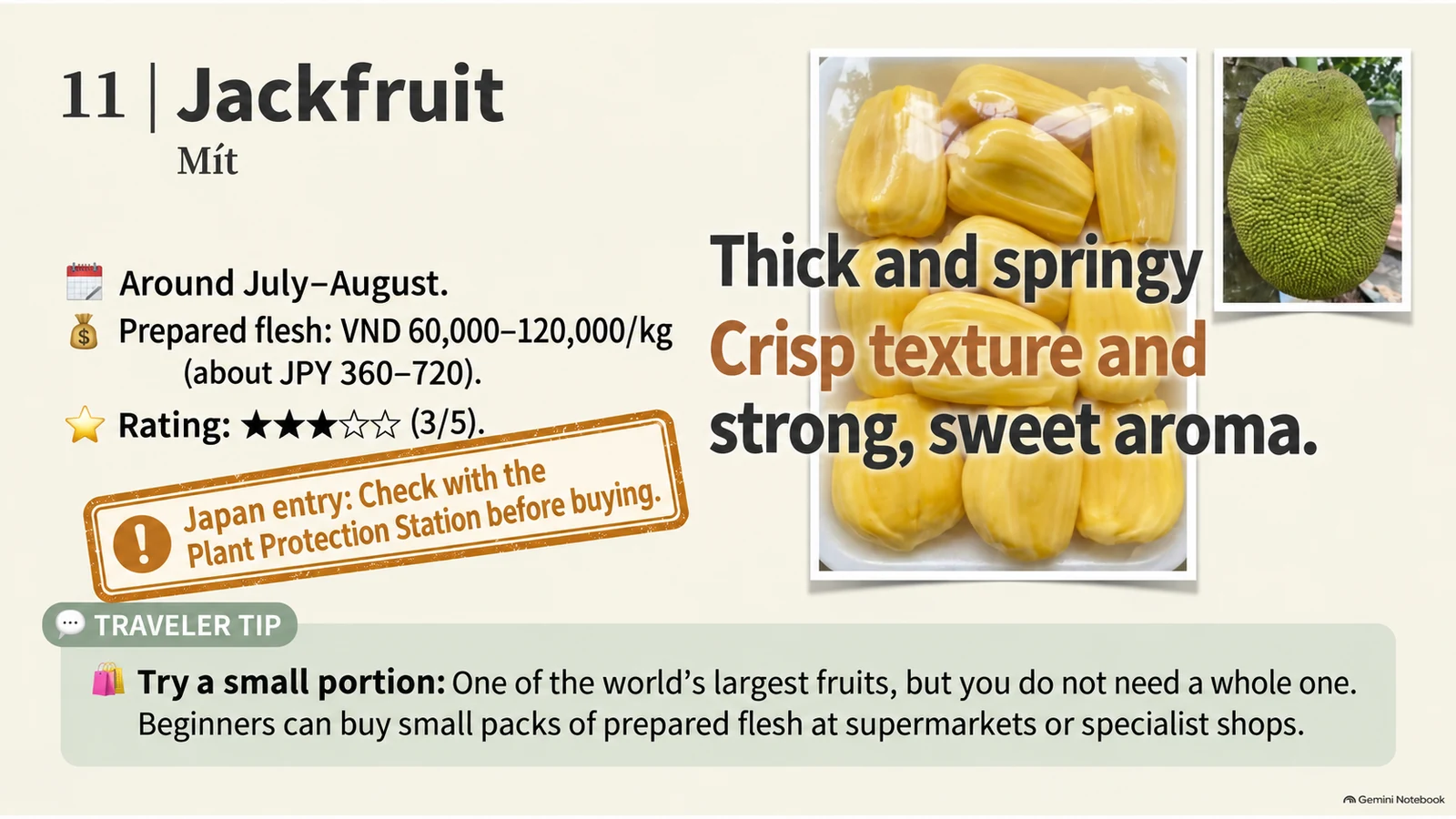 Illustration of Vietnamese jackfruit seasons, prices, beginner rating, and flavor