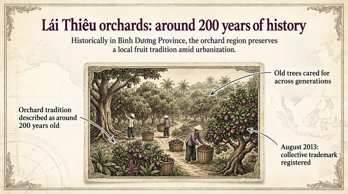 Lái Thiêu is a well-known local orchard region.