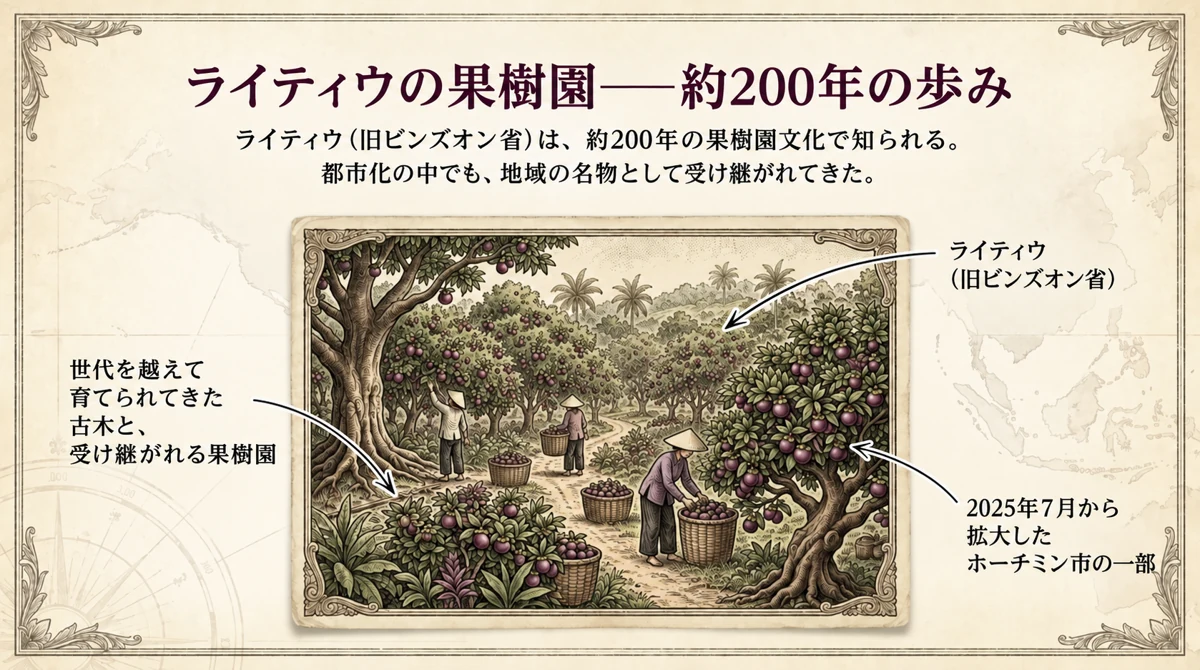 ベトナムのライティウで約200年続くマンゴスチン果樹園と2013年の集合商標