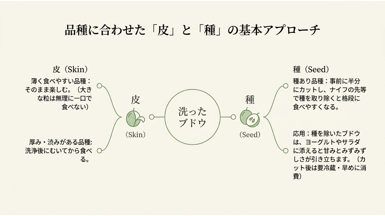 皮が薄い品種はそのまま、厚み・渋みのある品種は皮をむく。種ありの品種は半分に切って種を除く、という基本の整理図