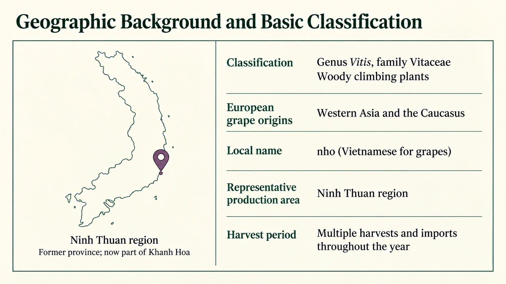 Vietnam location marker and basic grape classification facts