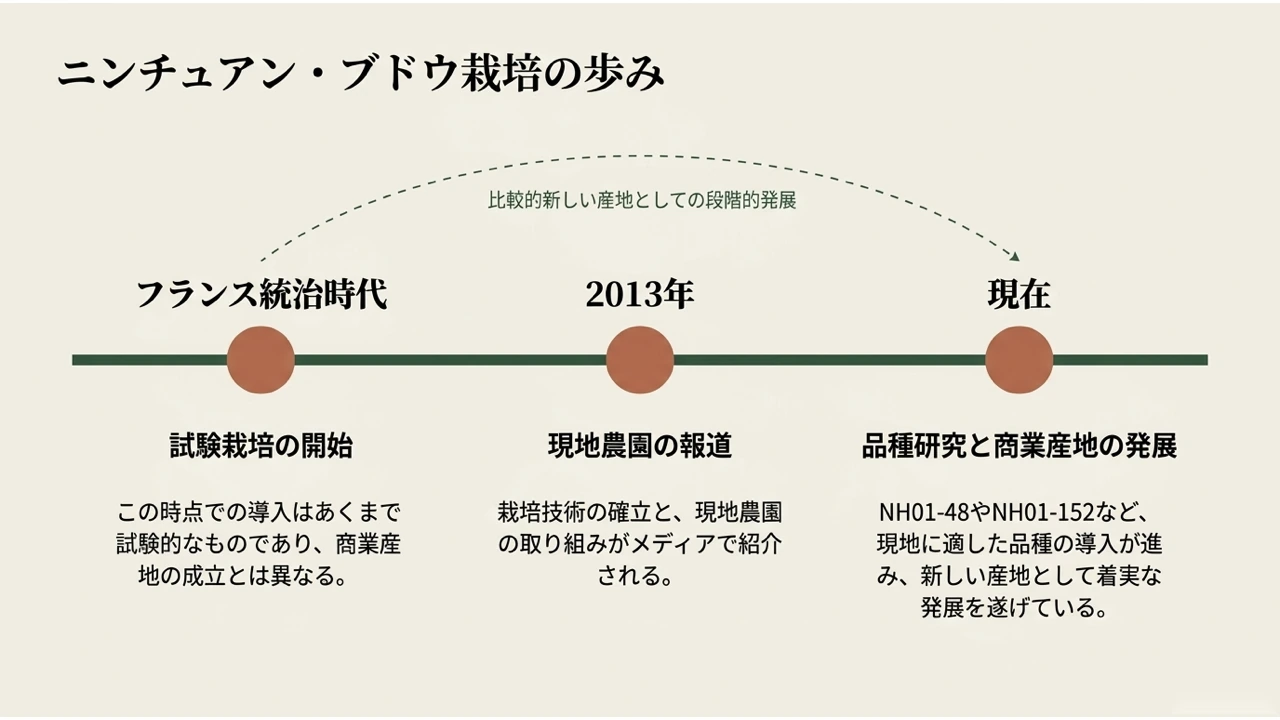 フランス統治時代の試験栽培開始、2013年の現地農園報道、現在の品種研究と産地発展という3つの時点を示す年表