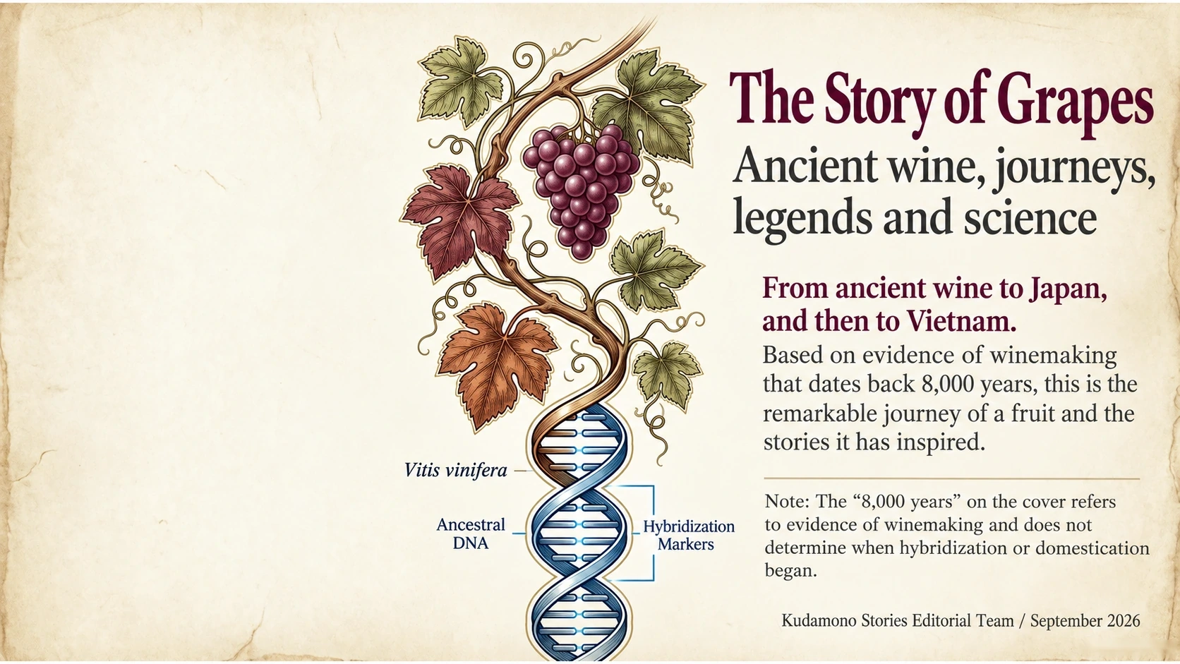 Grapevine and DNA illustration introducing the history of grapes