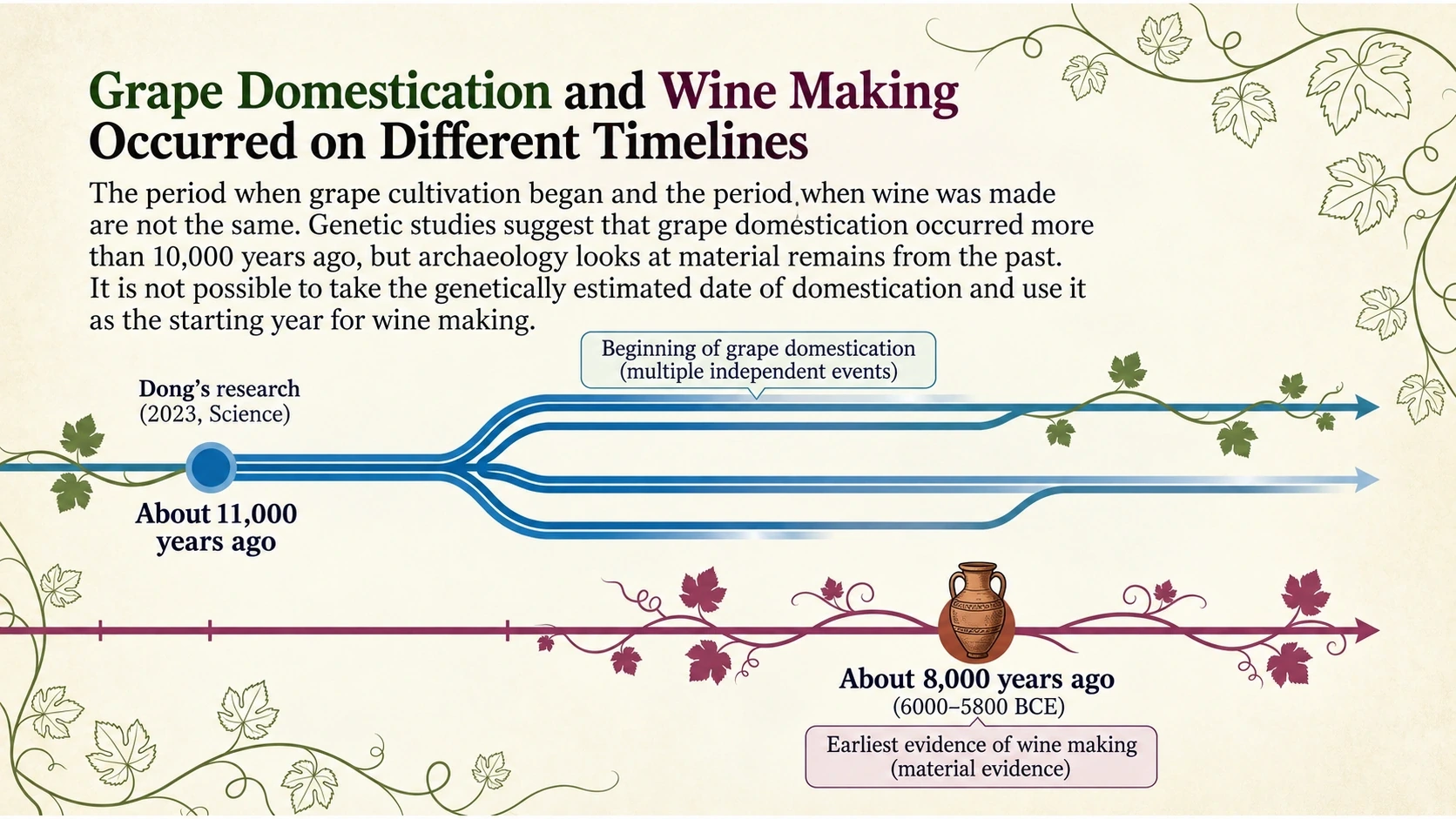 Separate timelines for estimated domestication and surviving wine evidence