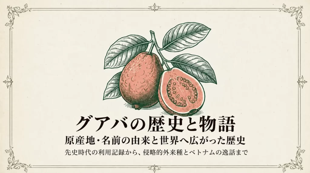 グアバの歴史と物語｜原産地・名前の由来と世界へ広がった歴史