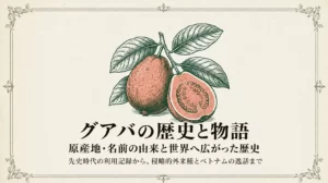 グアバの歴史と物語｜原産地・名前の由来と世界へ広がった歴史