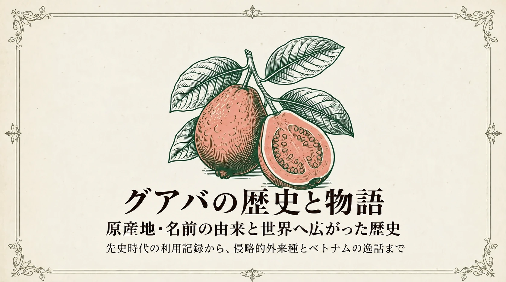 グアバの歴史と物語|原産地・名前の由来と世界へ広がった歴史