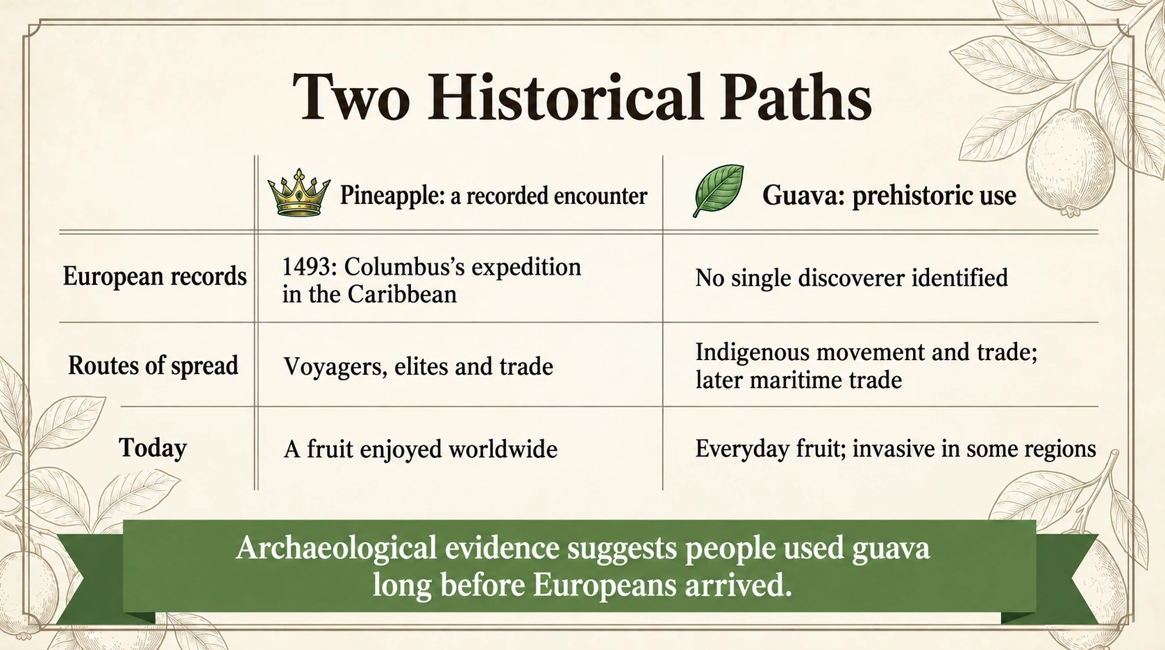 Comparing the historical journeys of pineapple and guava
