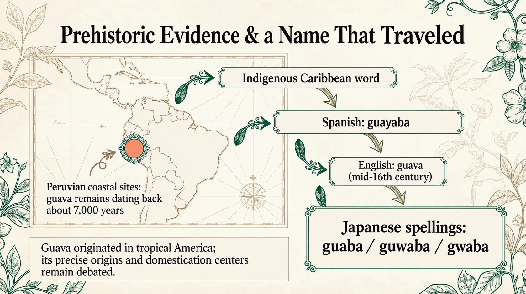Guava origins and the history of its names