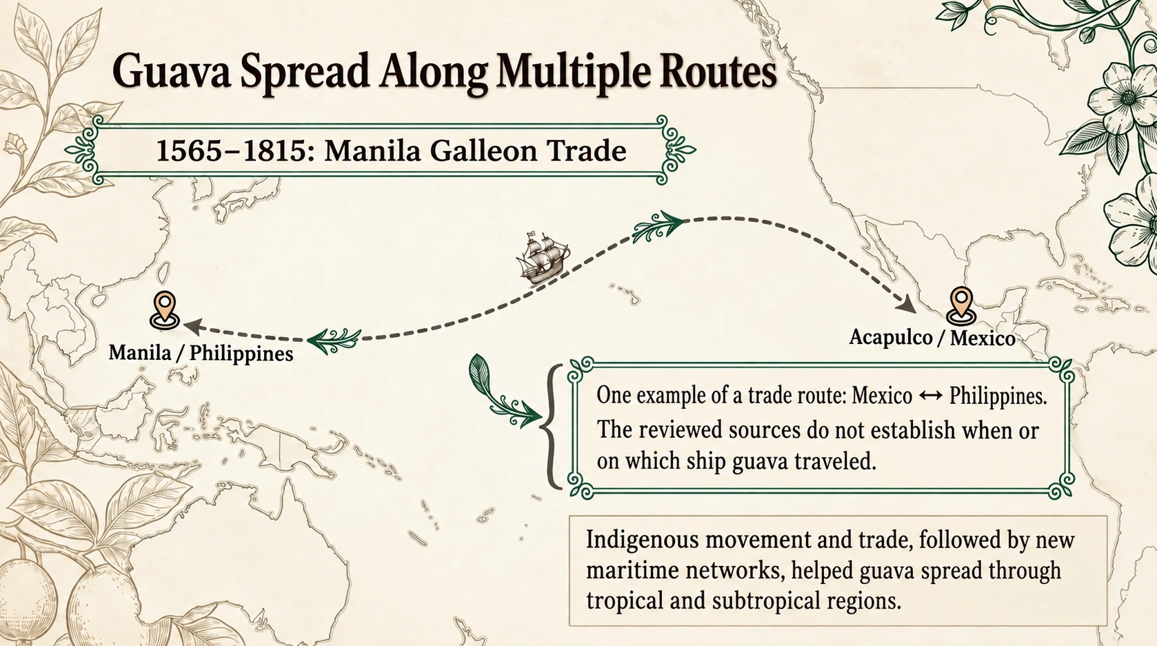Guava’s quiet journey around the world