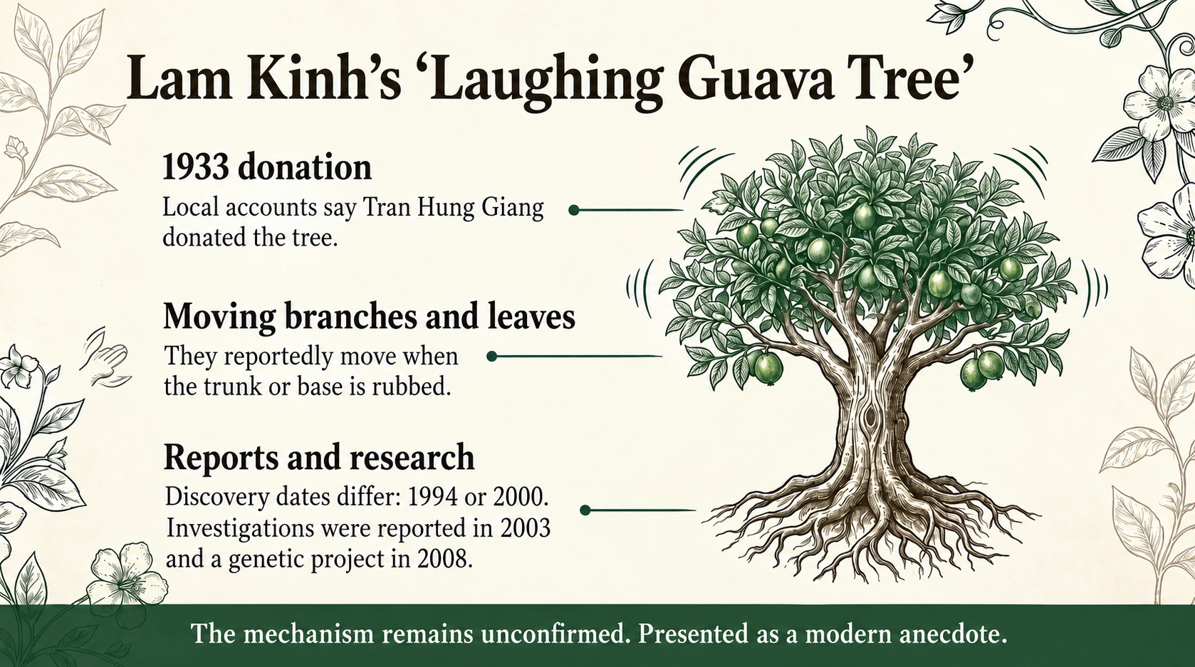 The laughing guava tree at Lam Kinh