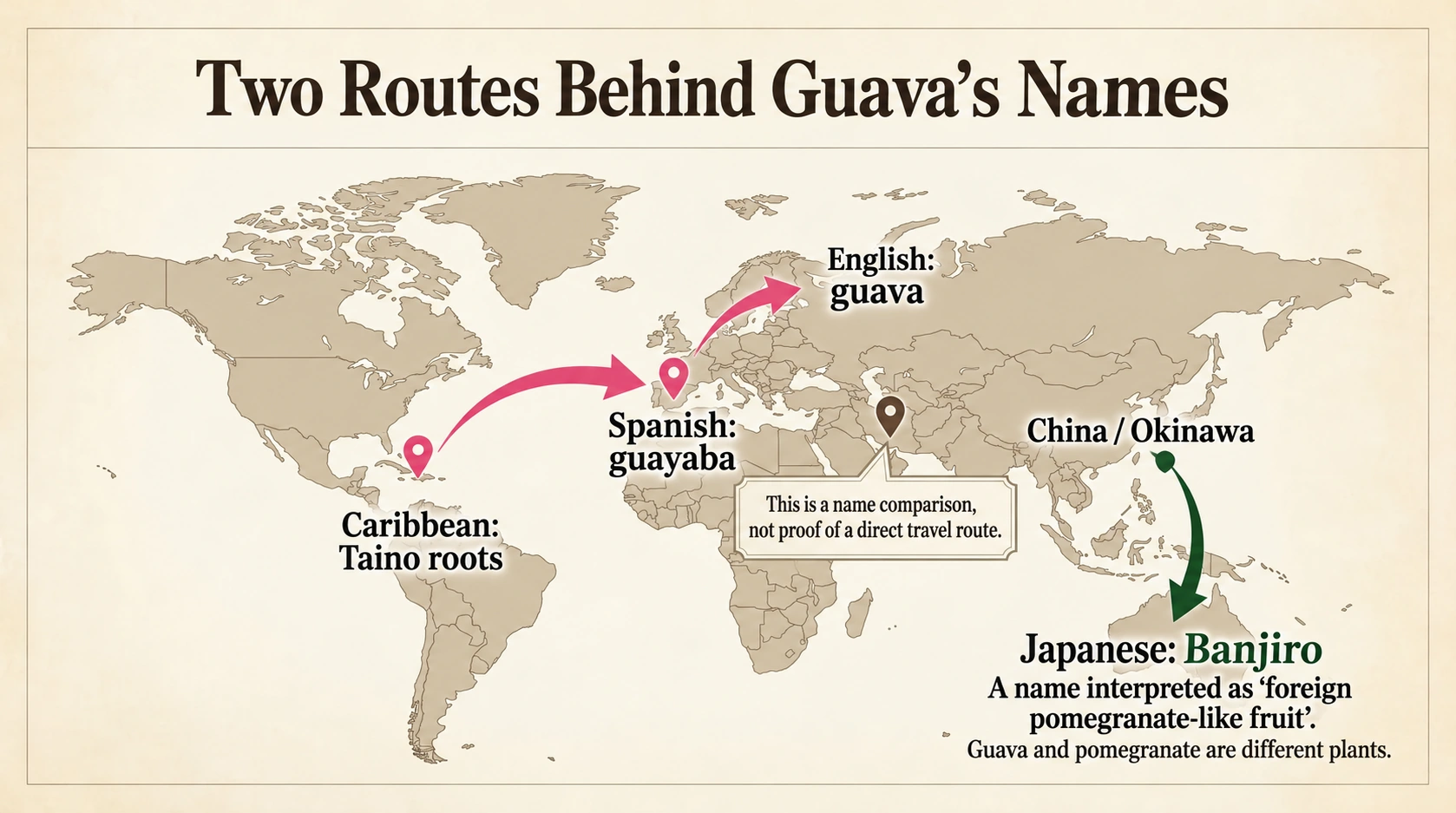 The origins of guava names