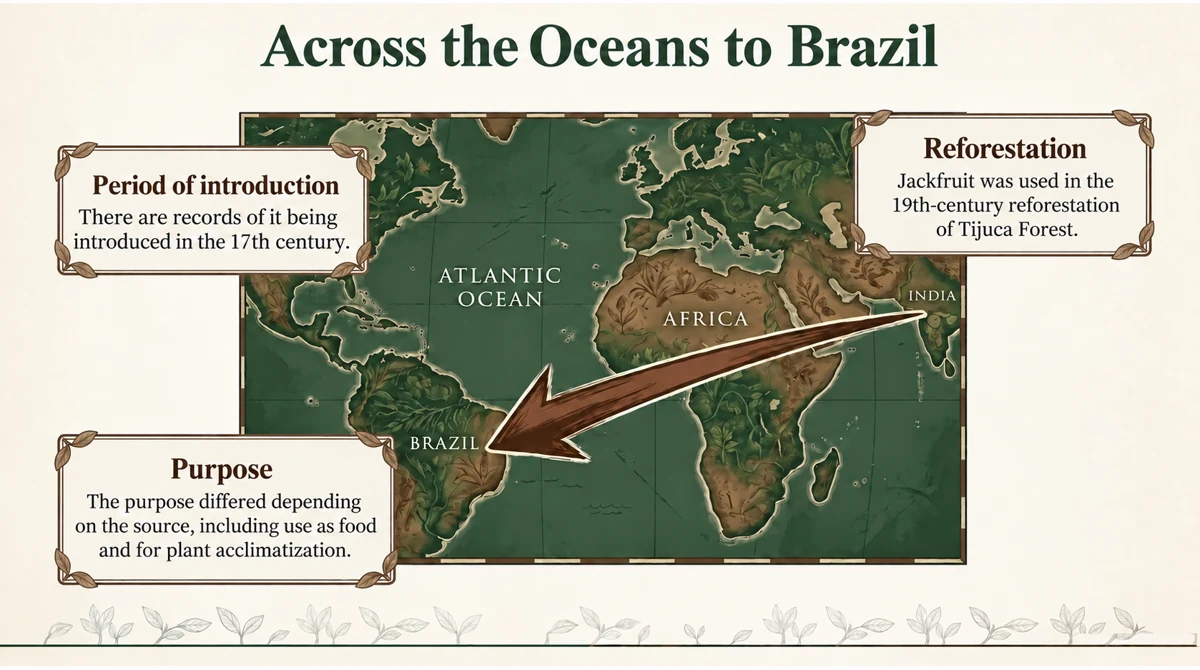 Sources differ on the dates and purposes of introduction to Brazil.