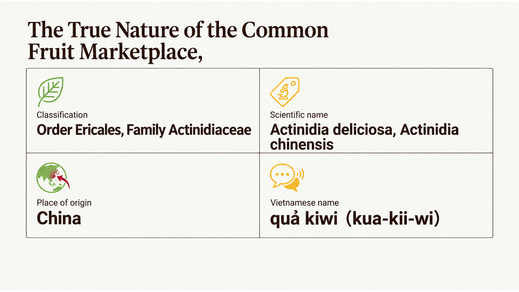 Kiwifruit at a glance