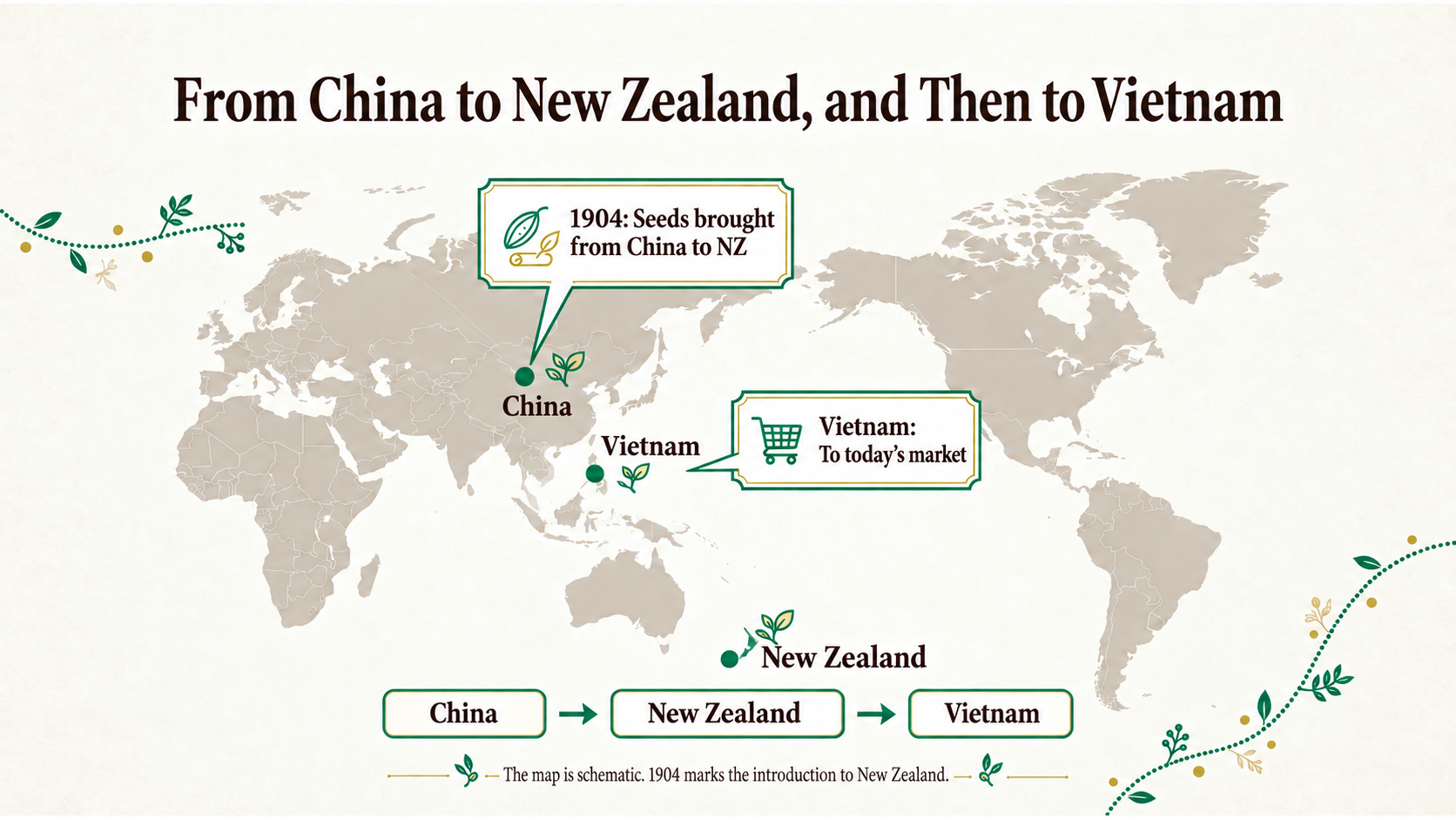 From Chinese mountain valleys to international stores