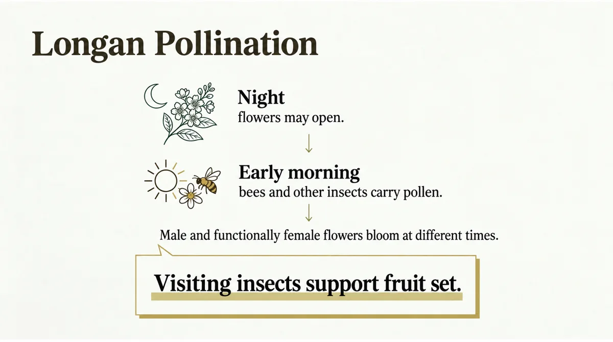 Bees and other insects move pollen between flowers.